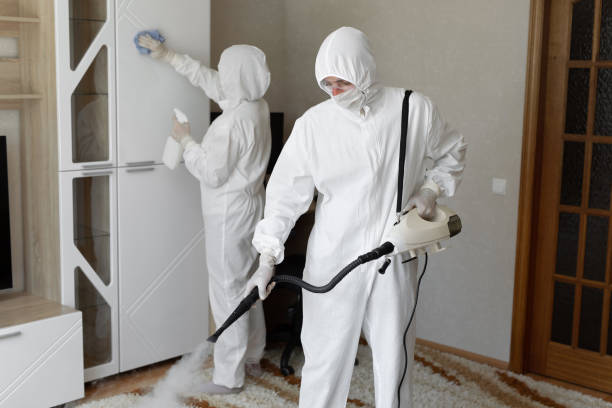 Mold Testing and Removal in Valley City, ND